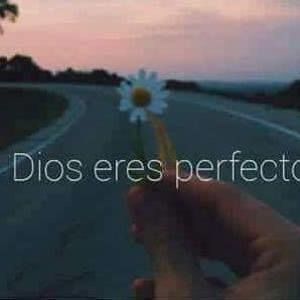 Meet your Posher, Idalia